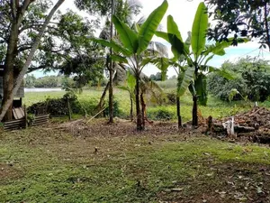 Prime 14P Land in Rajagiriya | SL14840