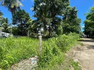Residential Land For Sale In Thalawathugoda