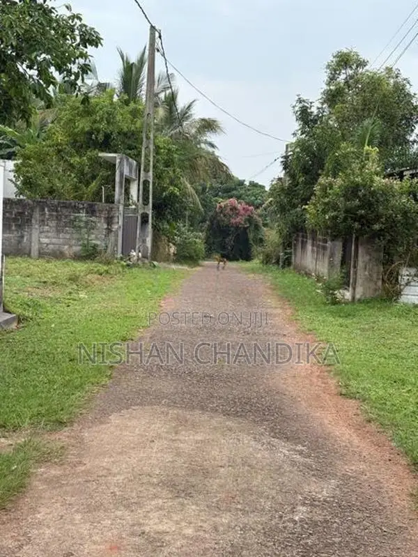 2 Land slots for Sale in Panadura 9.4 Perch