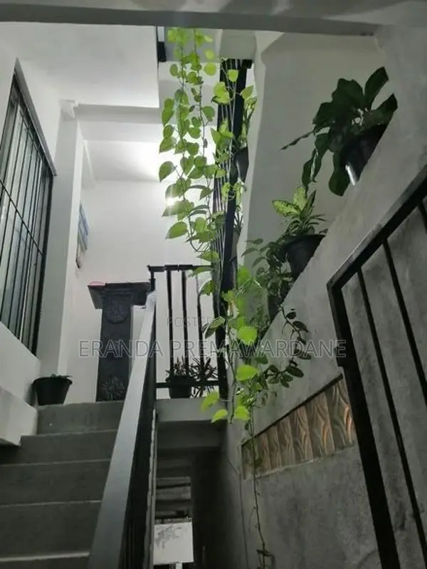 Rooms Rent Boralesgamuwa