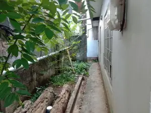 10.14 perches land with old house in boralasgamuwa near cycle park