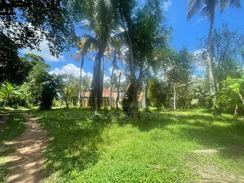 Residential Land For Sale In Thalawathugoda
