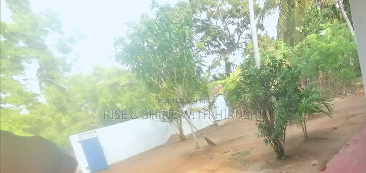 House for Rent Dehigahalanda