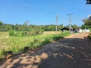Paddy Land for Sale – Bataleeya Junction, Kadjugama, close to Kandy Ro