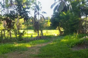 Prime 65P Land with Stunning Paddy Field Views in Kamburugamuwa, Matar