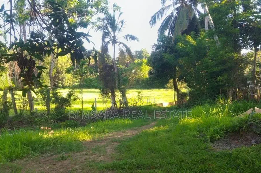 Prime 65P Land with Stunning Paddy Field Views in Kamburugamuwa, Matar