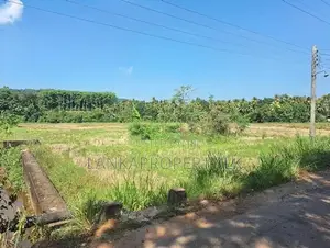 Paddy Land for Sale – Bataleeya Junction, Kadjugama, close to Kandy Ro