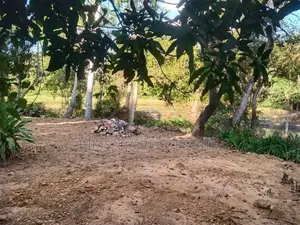 Prime 65P Land with Stunning Paddy Field Views in Kamburugamuwa, Matar