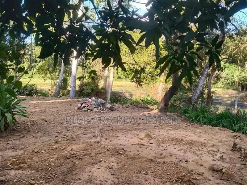 Prime 65P Land with Stunning Paddy Field Views in Kamburugamuwa, Matar