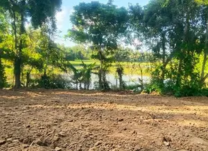 Prime 65P Land with Stunning Paddy Field Views in Kamburugamuwa, Matar