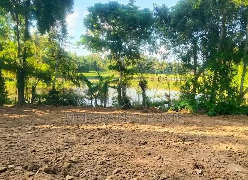 Prime 65P Land with Stunning Paddy Field Views in Kamburugamuwa, Matar