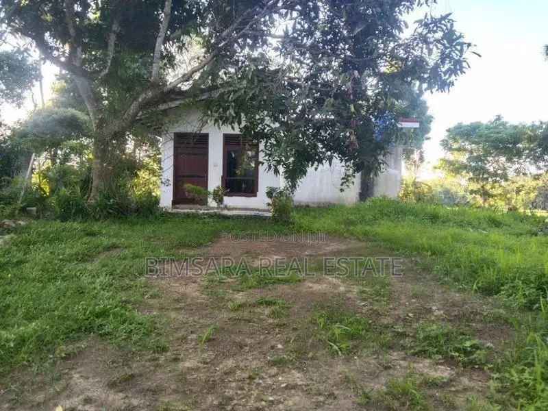 Prime 65P Land with Stunning Paddy Field Views in Kamburugamuwa, Matar