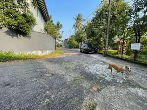 LUXURY HOUSE FOR SALE IN THALAWATHUGODA