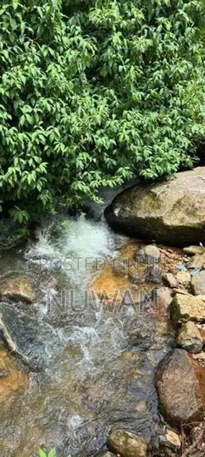 ( MAS8026) 2 STORIED FULLY FURNISHED House for Sale in Nuwara Eliya