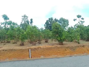 අලුත්වල මීටියාගොඩ පූධාන පාරට මුහුණලා බිම් කොටස්