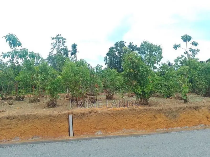 අලුත්වල මීටියාගොඩ පූධාන පාරට මුහුණලා බිම් කොටස්