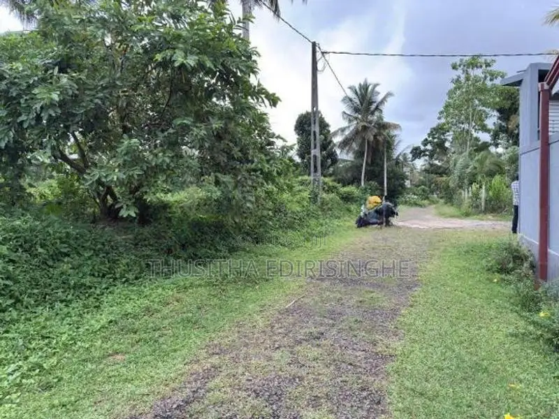 බද්දේගම පෝද්දල ඉඩමක් විකිණීමට