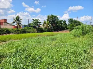 COMMERCIAL LAND FOR SALE IN BIYAGAMA