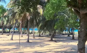 9 Ac Beachfront Land with 3 Villas for Sale -Pasikuda