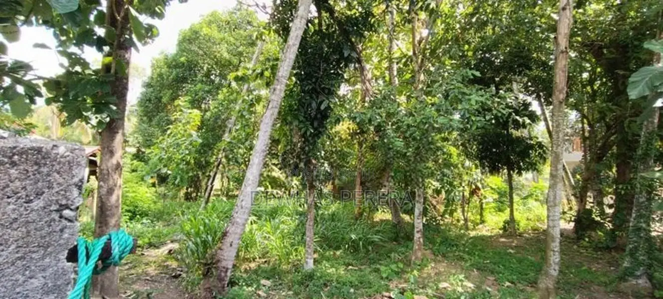 residentl land for sale pokuna juntion 979bus road ragama