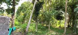 residentl land for sale pokuna juntion 979bus road ragama