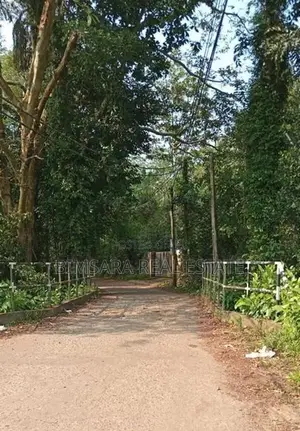 Prime 3.3-Acre Land with Excellent Development Potential in Dodangoda