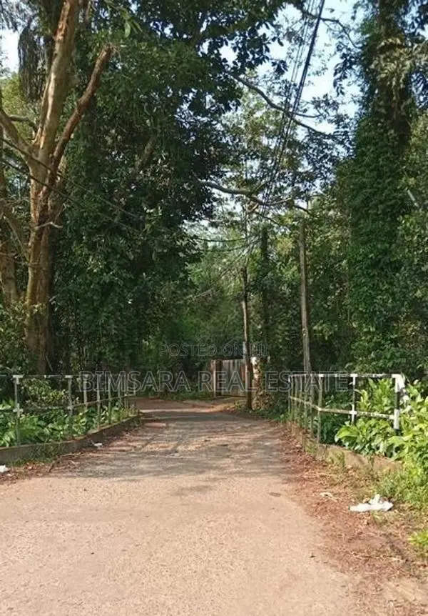 Prime 3.3-Acre Land with Excellent Development Potential in Dodangoda