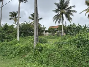බද්දේගම පෝද්දල ඉඩමක් විකිණීමට