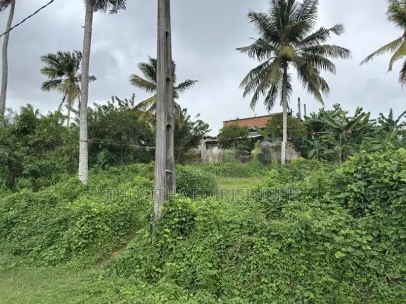 බද්දේගම පෝද්දල ඉඩමක් විකිණීමට