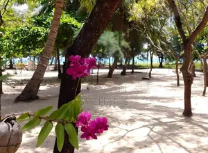 9 Ac Beachfront Land with 3 Villas for Sale -Pasikuda