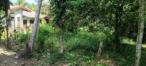 residentl land for sale pokuna juntion 979bus road ragama