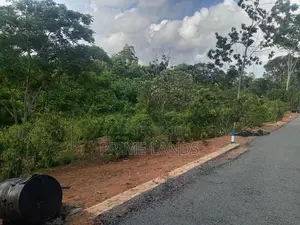 අම්බලන්ගොඩ තල්ගස්ගොඩ සුදුවැල්ල පාරේ බිම් කොටස්