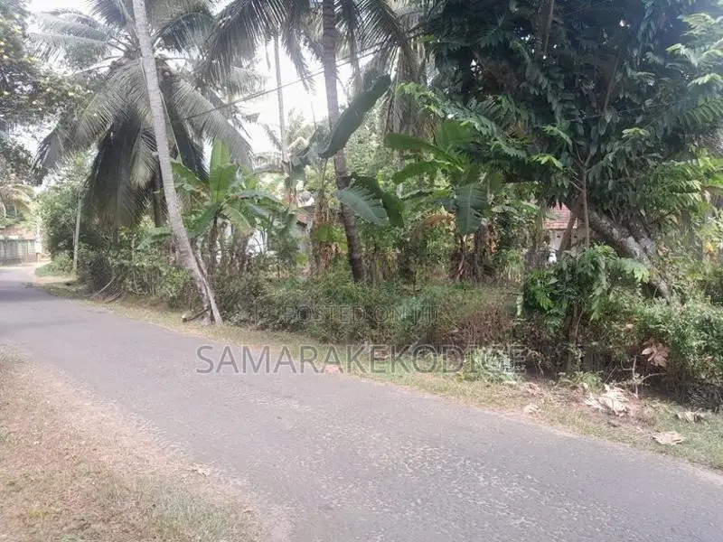 කුරුණෑගල අවටින් පර්-චස් 14ක වටිනා ඉඩමක්