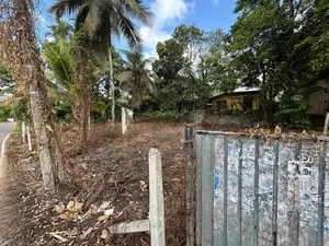 Valuable 17.5 Perches Land for Sale in Kesbawa