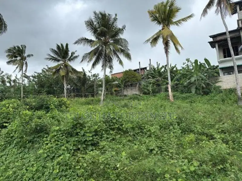 බද්දේගම පෝද්දල ඉඩමක් විකිණීමට