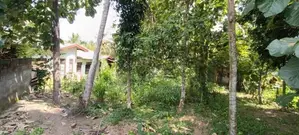 residentl land for sale pokuna juntion 979bus road ragama