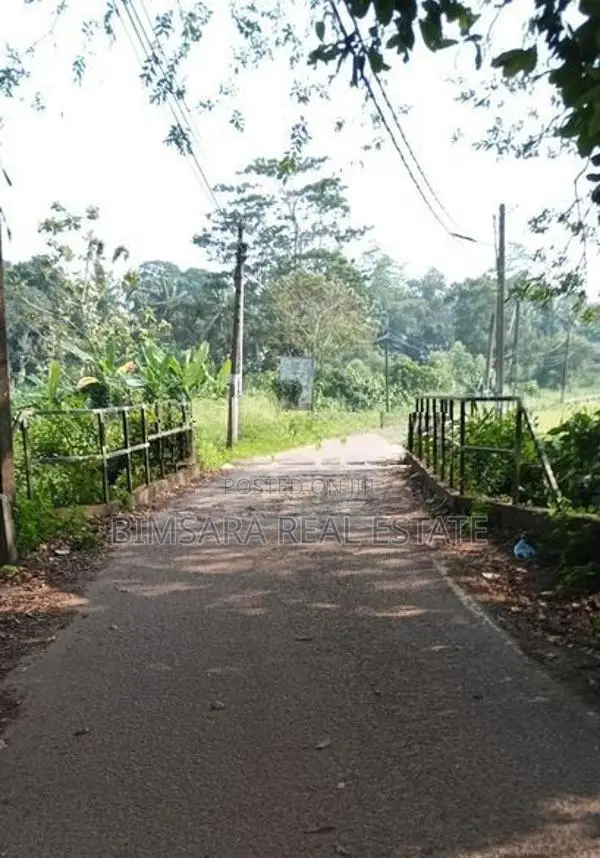 Prime 3.3-Acre Land with Excellent Development Potential in Dodangoda