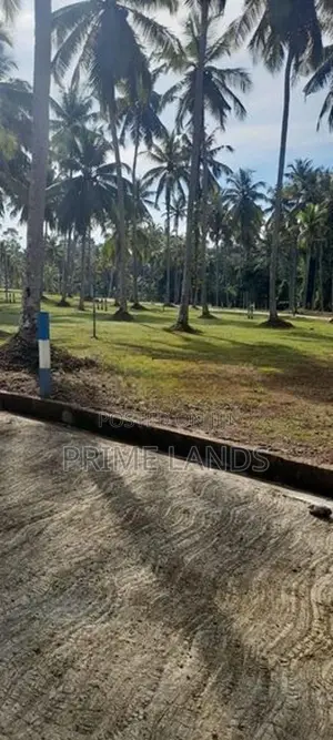 මිනුවන්ගොඩ වටිනපහ බිම් කොටස්