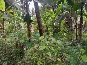 කුරුණෑගල අවටින් පර්-චස් 14ක වටිනා ඉඩමක්