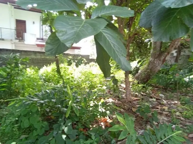 Kandana Prime Residential Lands for Immediate Sale
