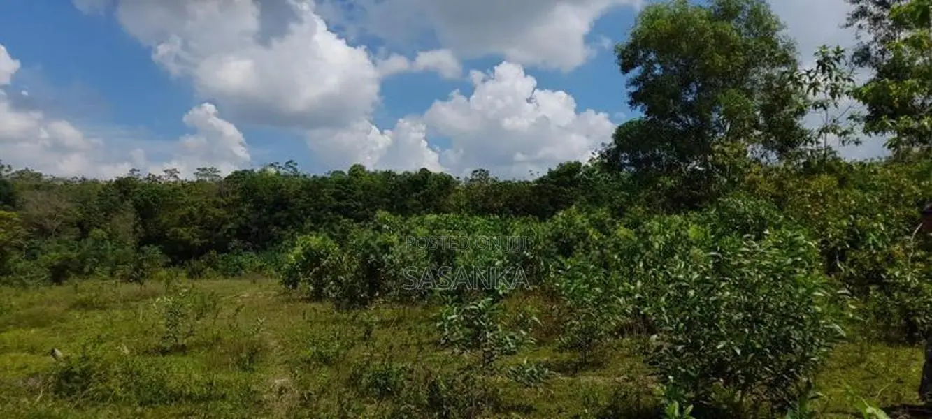 Horana Millaniya 3 Acres Land for Sale