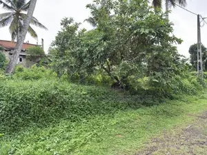 බද්දේගම පෝද්දල ඉඩමක් විකිණීමට