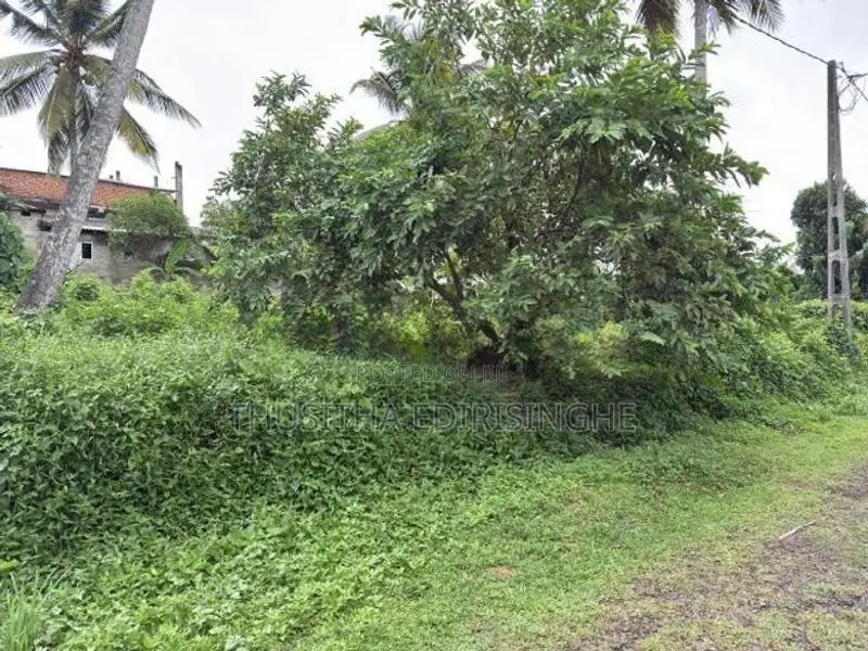 බද්දේගම පෝද්දල ඉඩමක් විකිණීමට