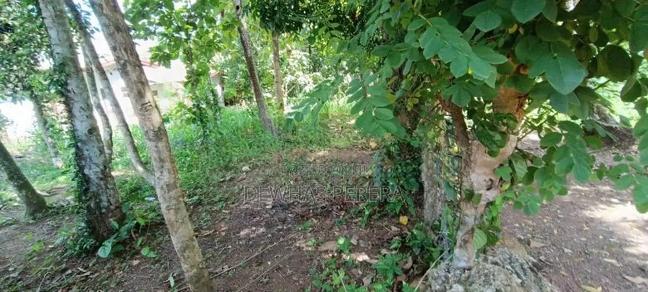 residentl land for sale pokuna juntion 979bus road ragama