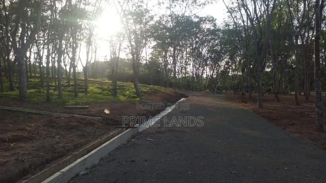 අහංගම සංචාරක කලාපයට ආසන්නව බිම් කොටස්