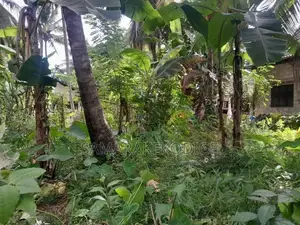 කුරුණෑගල අවටින් පර්-චස් 14ක වටිනා ඉඩමක්