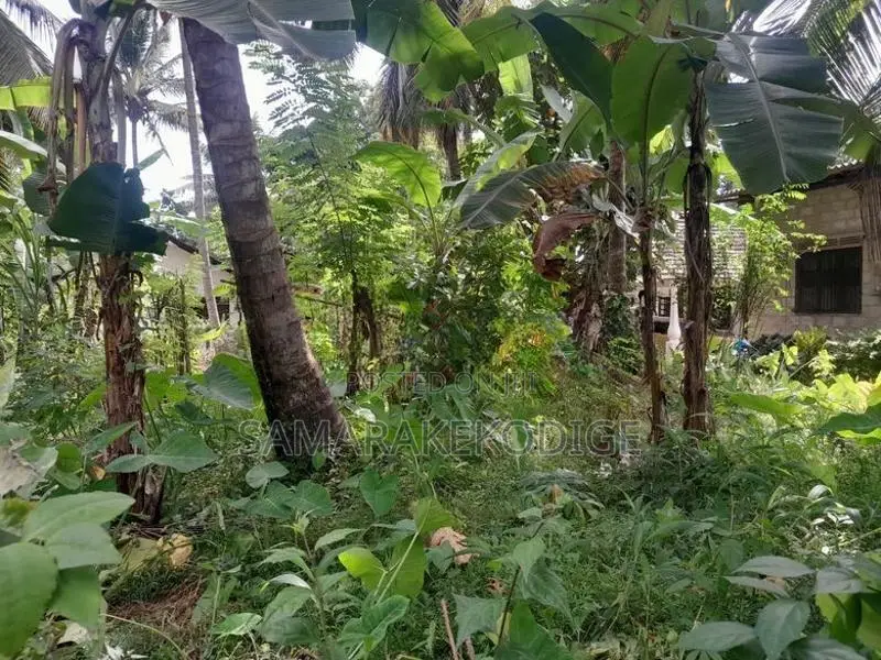කුරුණෑගල අවටින් පර්-චස් 14ක වටිනා ඉඩමක්