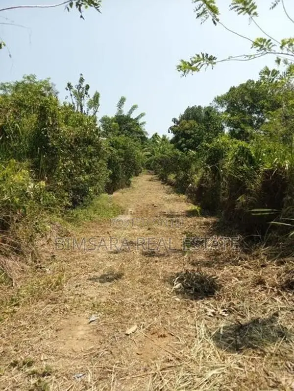 Prime 3.3-Acre Land with Excellent Development Potential in Dodangoda