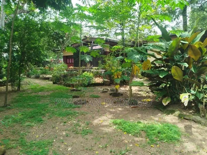Land with House Sale Wattala