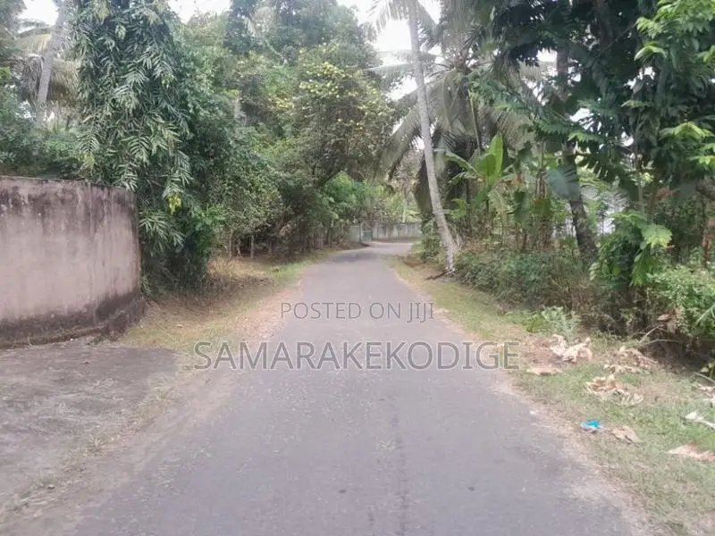 කුරුණෑගල අවටින් පර්-චස් 14ක වටිනා ඉඩමක්